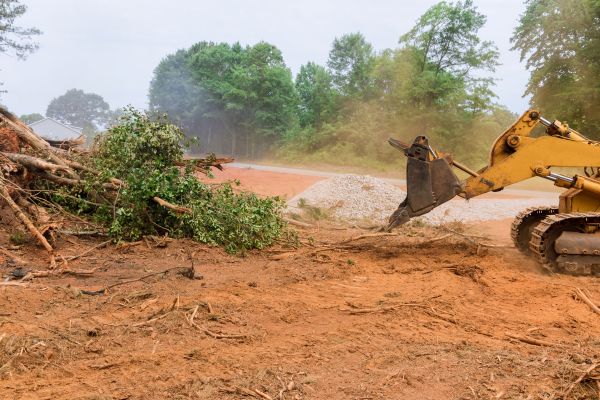 Ground Clearing in Noblesville