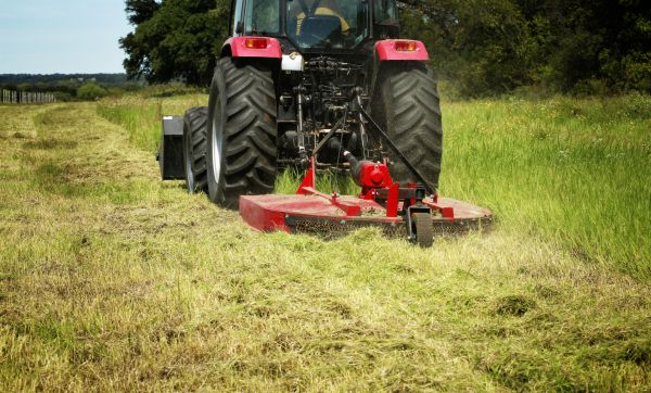 Brush Clearing Service in Noblesville
