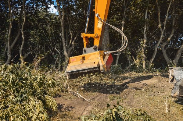 Brush Removal Service in Noblesville