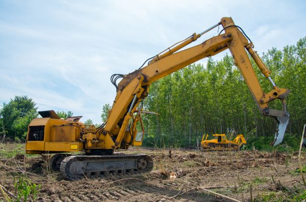 Farm Clearing in Noblesville