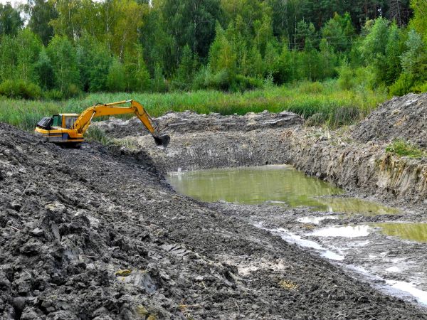 Lake Lot Clearing in Noblesville