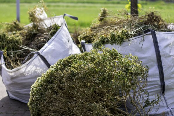 Bushes Clearing in Noblesville