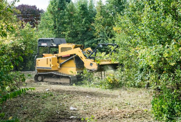 Pathway Clearing in Noblesville