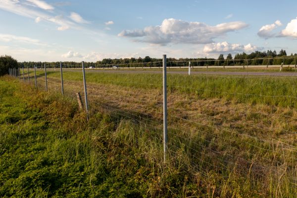 Property Line Clearing in Noblesville