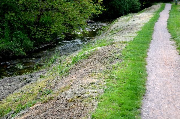 Trail Cutting in Noblesville